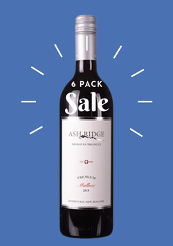 6 Pack 2019 Premium Malbec