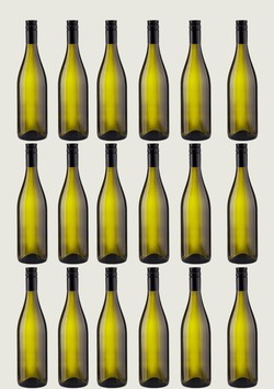 Clean Skin Sauvignon Blanc 2022