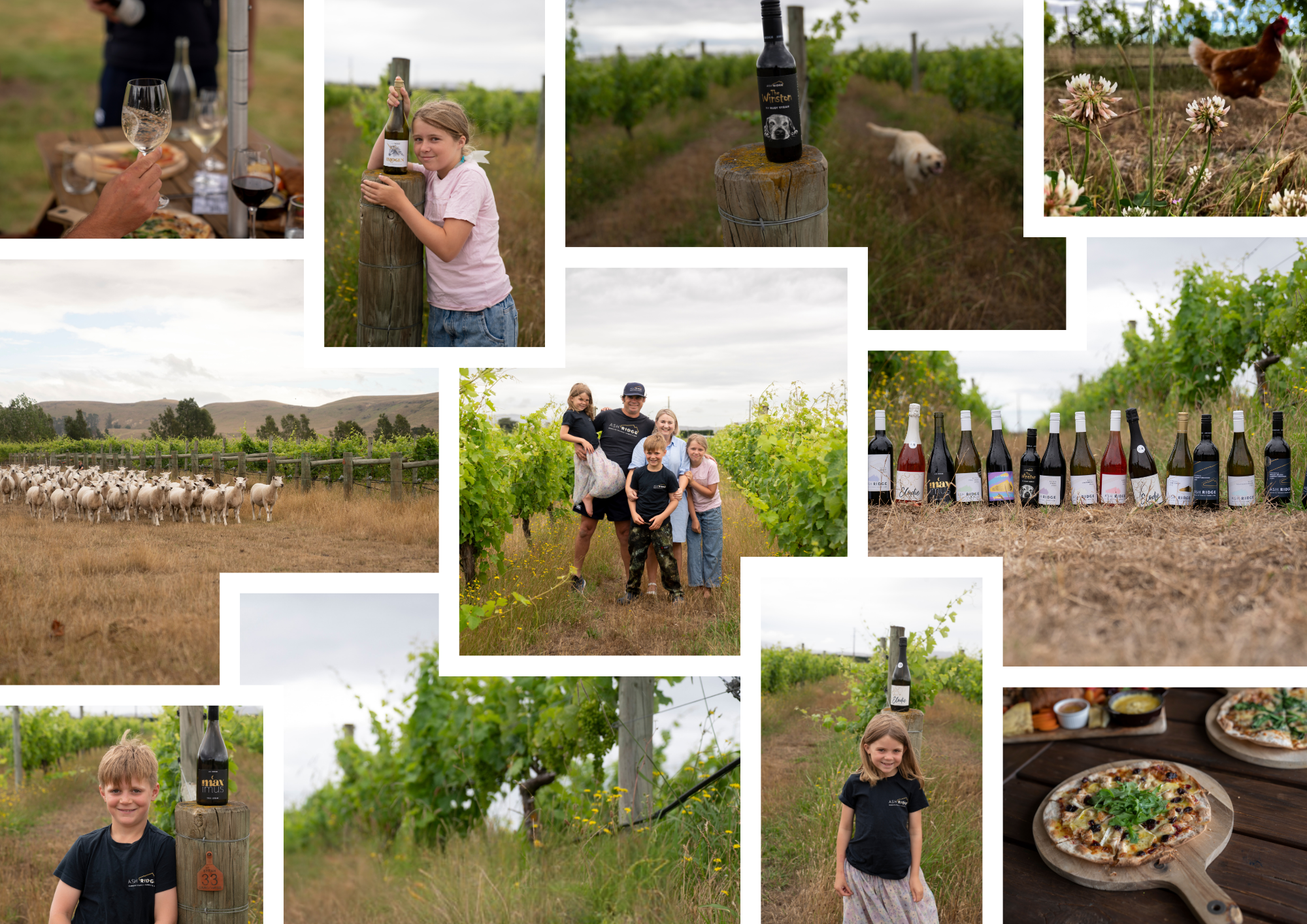 About Us - Ash Ridge Winery