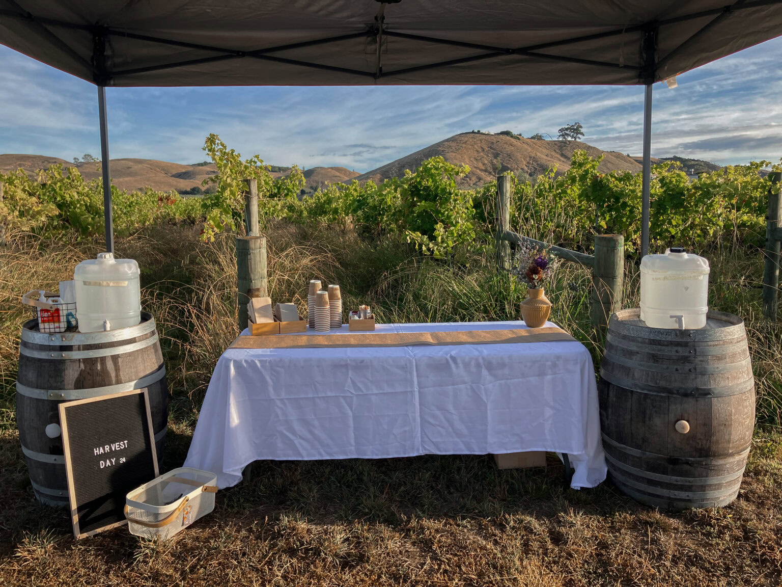 It was all smiles at our Annual Wine Club Harvest Day! - Ash Ridge Winery