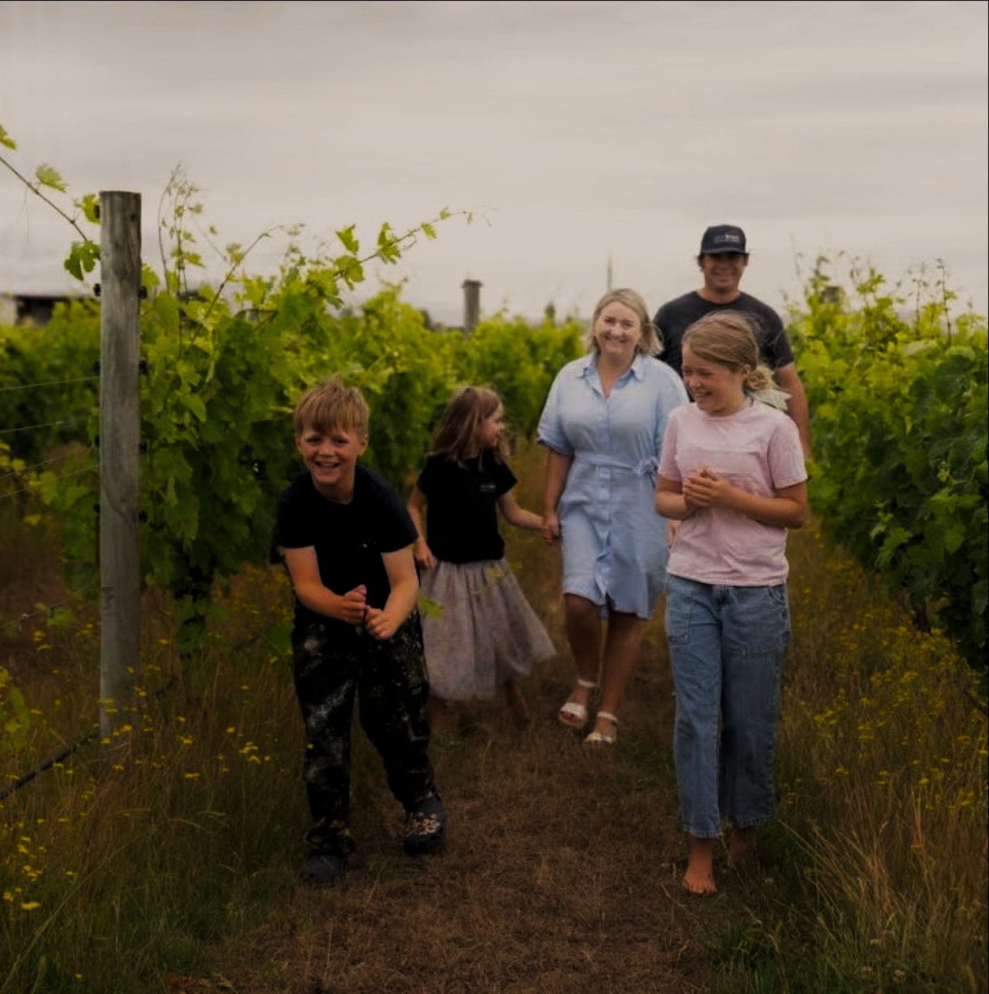 Home - Ash Ridge Winery